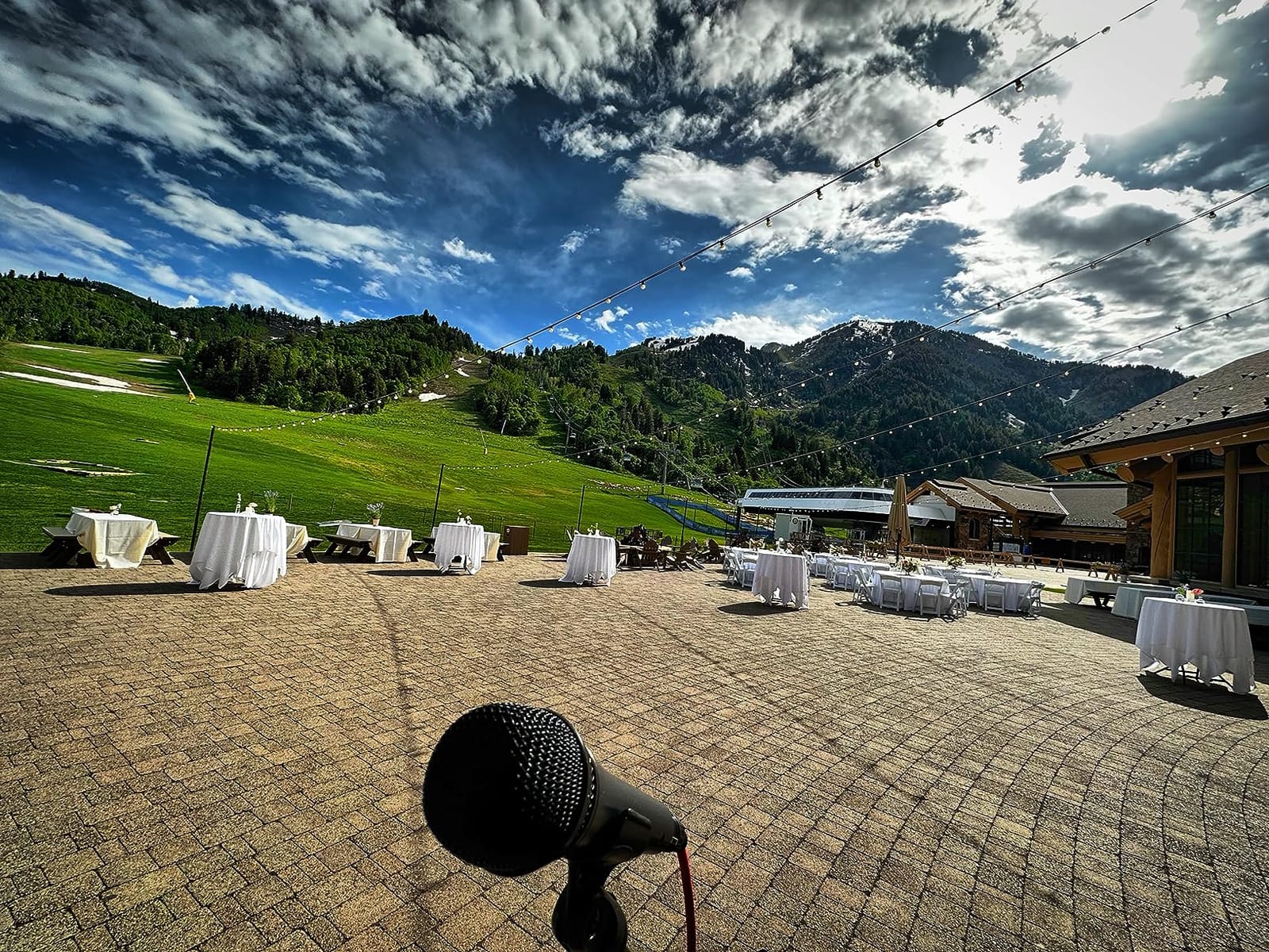 Sennheiser Professional E 835 Dynamic Cardioid Vocal Microphone | Cardioid dynamic microphone with XLR connector and MZQ 800 clip for vocals, stage performance and live sound customer photo 2