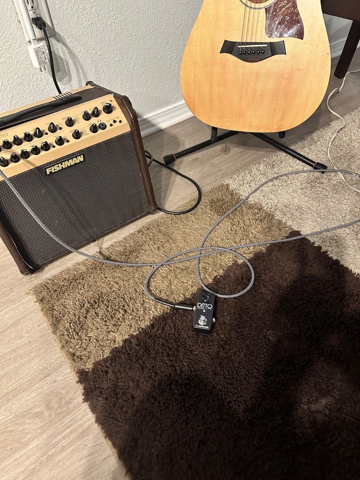 TC Electronic DITTO LOOPER Highly Intuitive Looper Pedal with 5 Minutes of Looping Time, Analog-Dry-Through and True Bypass customer photo 1