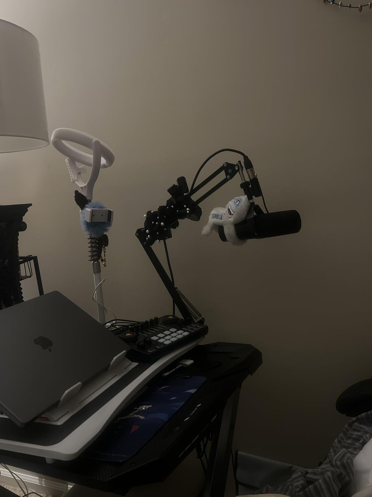 Shure MV7X XLR Dynamic Microphone for Podcasting, Streaming & Vocal Recording - Voice-Isolating Cardioid Mic with Broadcast-Style Design & All-Metal Construction, Black customer photo 2